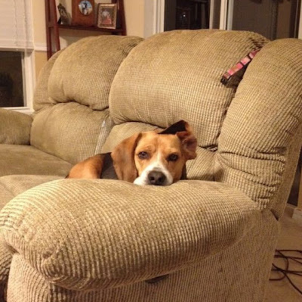 Meet your Posher, Emily